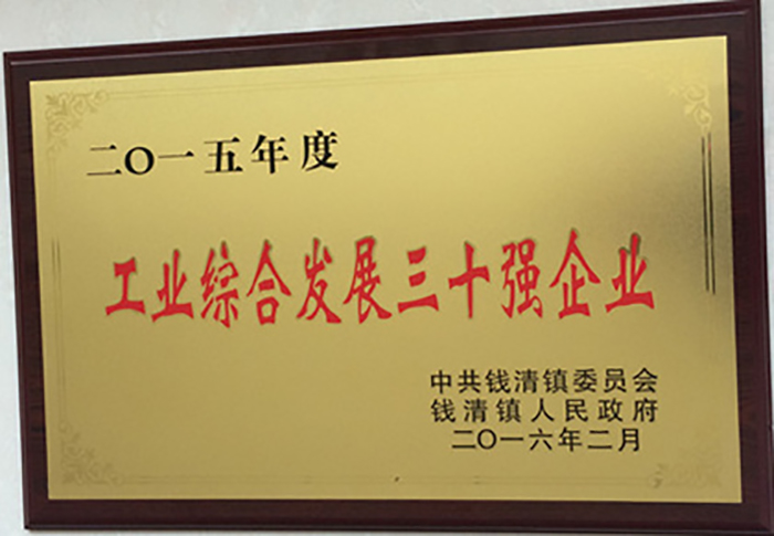 集团公司荣居钱镇镇“工业综合生长三十强企业”第二-合乐HL8