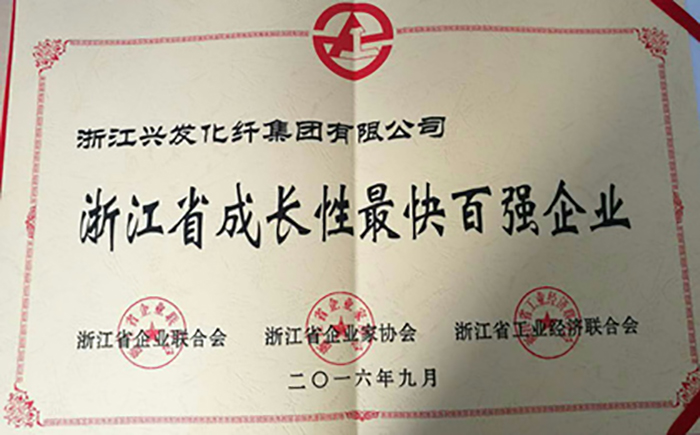 合乐HL8集团被评为“浙江省生长性最快百强企业”-合乐HL8