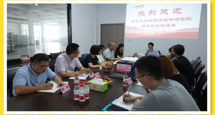 北京大学新结构经济学研究院一行来集团下属诚邦高新开展专题调研-合乐HL8